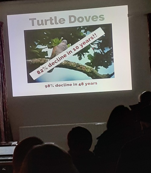 Turtle doves slide, 82% decline 10 10 years.