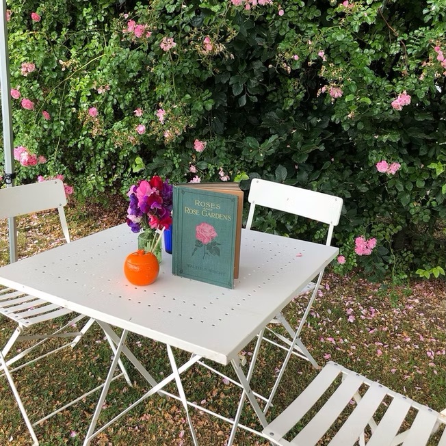 Photo of small table in rose garden.