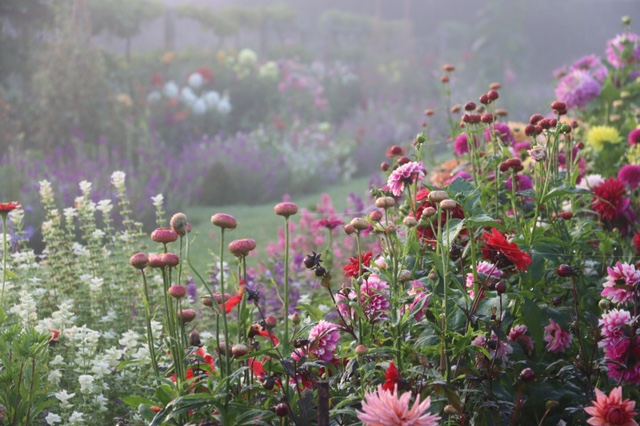 Photo of garden border in full bloom.